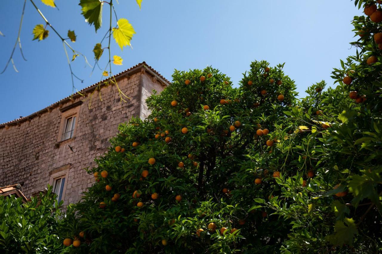 Ferienwohnung Apartman Jelena Dubrovnik Exterior foto